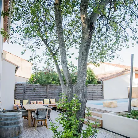 Maison Nomade Piscine Privee, Parking Et Clim Carcassone
